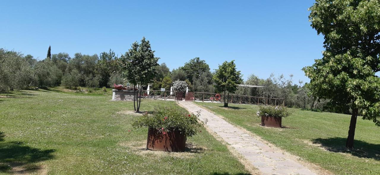 Camere Con Vista In Valdichiana Marciano della Chiana Dış mekan fotoğraf